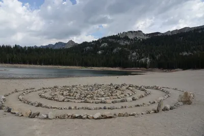 DSC_2960 (Large).JPG